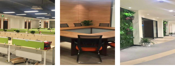 芯动科技--公司环境